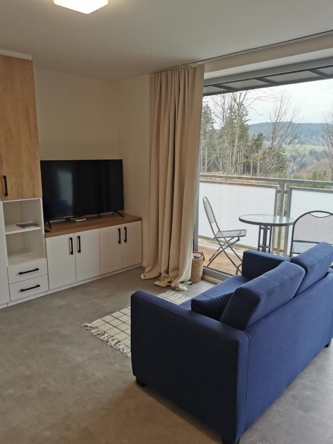 Apartman V Jizerkach Janov nad Nisou Buitenkant foto